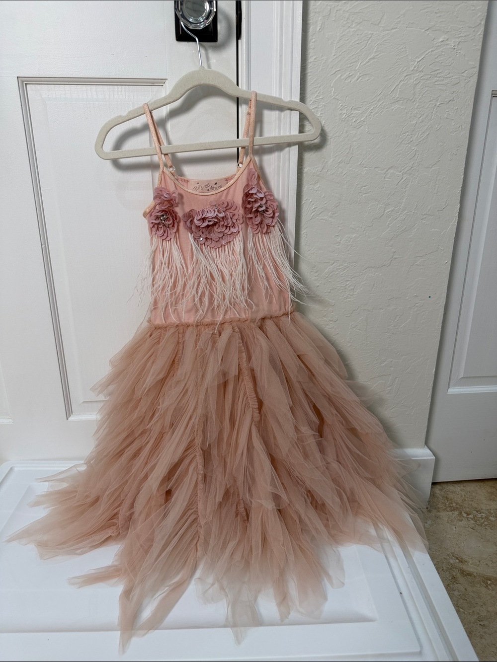 Tutu Du Monde Dusty Pink Tulle Party Dress with Floral & Feather Bodice